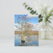 Postkarte: Zwei Bäume als eine Postkarte (Stehend Vorderseite)