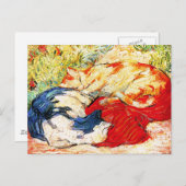 Postkarte: zwei Katzen Postkarte (Vorne/Hinten)