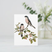 Postkarte - zwei Vögel (Stehend Vorderseite)