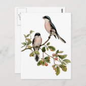 Postkarte - zwei Vögel (Vorne/Hinten)
