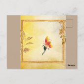 Postkarten (Rückseite)