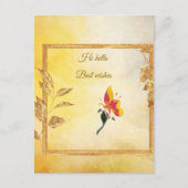 Postkarten (Vorderseite)