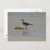 Postkarten (Vorne/Hinten)