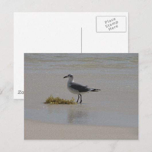 Postkarten (Vorne/Hinten)