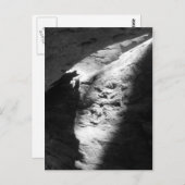 Postkarten (Vorne/Hinten)