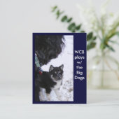 Postkarten (Stehend Vorderseite)