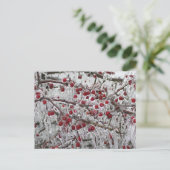 Postkarten (Stehend Vorderseite)