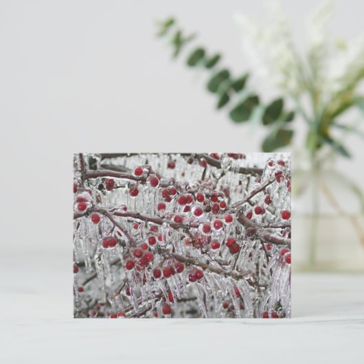 Postkarten (Stehend Vorderseite)