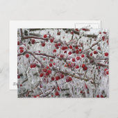 Postkarten (Vorne/Hinten)