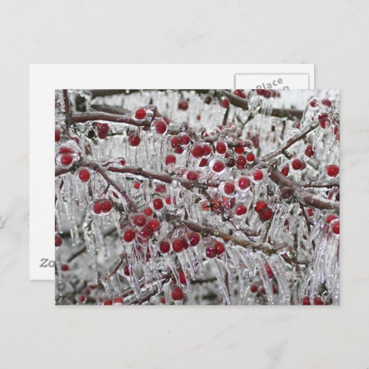 Postkarten (Vorne/Hinten)