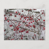 Postkarten (Vorderseite)