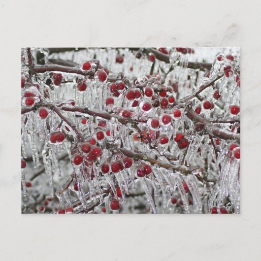 Postkarten (Vorderseite)