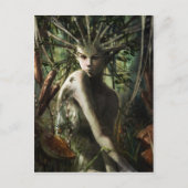 Postkarten (Vorderseite)