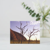 Postkarten aus Australien (Stehend Vorderseite)