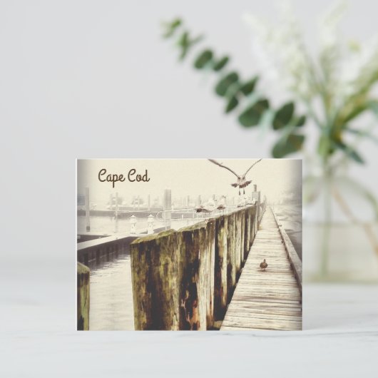 Postkarten aus Cape Cod (Seagull-Hafen) (Stehend Vorderseite)