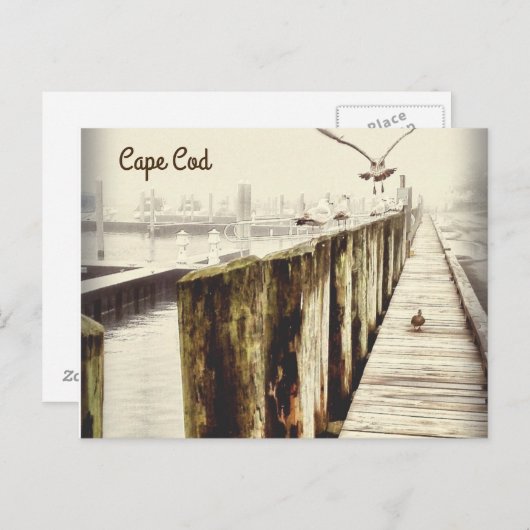 Postkarten aus Cape Cod (Seagull-Hafen) (Vorne/Hinten)