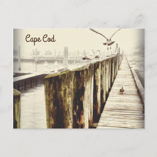 Postkarten aus Cape Cod (Seagull-Hafen) (Vorderseite)