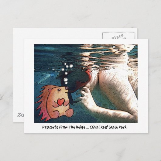 POSTKARTEN AUS DER SCHULE! (Vorne/Hinten)