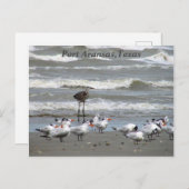 Postkarten aus der Texas Küste! (Vorne/Hinten)