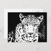 Postkarten aus Leopard, Schwarz und Weiß (Vorne/Hinten)