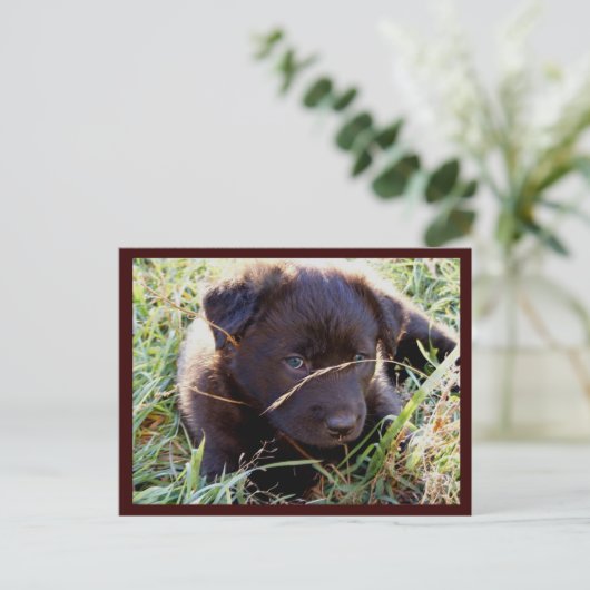 Postkarten ausblenden und suchen (Stehend Vorderseite)