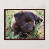 Postkarten ausblenden und suchen (Vorderseite)