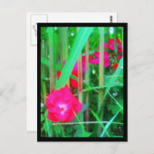 Postkarten-Blume-13 Postkarte (Vorne/Hinten)