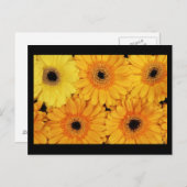 Postkarten-Blume-6 Postkarte (Vorne/Hinten)