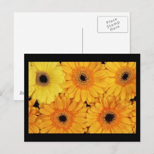 Postkarten-Blume-6 Postkarte (Vorne/Hinten)