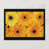 Postkarten-Blume-6 Postkarte (Vorderseite)