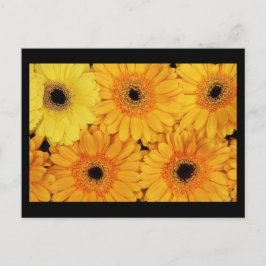 Postkarten-Blume-6 Postkarte