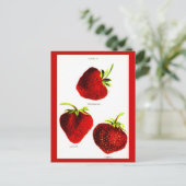 Postkarten-Botanik-Erdbeeren Postkarte (Stehend Vorderseite)