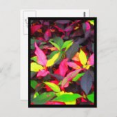 Postkarten-City-Blume-14 Postkarte (Vorne/Hinten)