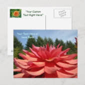 Postkarten Dahlia Blume Gartenpost Karte (Vorne/Hinten)