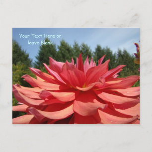 Postkarten Dahlia Blume Gartenpost Karte