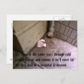 Postkarten der Post-Apokalypse #7 (Vorne/Hinten)