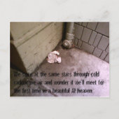 Postkarten der Post-Apokalypse #7 (Vorderseite)