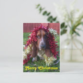 Postkarten-frohe Weihnachten Basset Hound in der (Stehend Vorderseite)