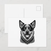 Postkarten für australische Rinderhunde, Charming, (Vorne/Hinten)