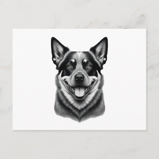 Postkarten für australische Rinderhunde, Charming, (Vorderseite)