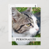 Postkarten für benutzerdefinierte Foto | Bild hier (Vorne/Hinten)