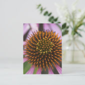 Postkarten für das Foto (Stehend Vorderseite)