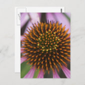 Postkarten für das Foto (Vorne/Hinten)