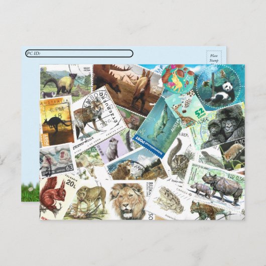 Postkarten für das Übersetzen von Briefmarke der T (Vorne/Hinten)