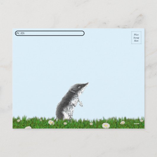 Postkarten für das Übersetzen von Briefmarke der T (Rückseite)