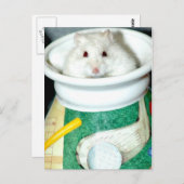 Postkarten für das Weiße Unterhemd (Vorne/Hinten)