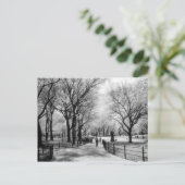 Postkarten für den Central Park (Stehend Vorderseite)