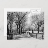 Postkarten für den Central Park (Vorne/Hinten)