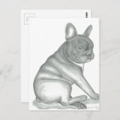 Postkarten für französische Bulldoggen (Vorne/Hinten)