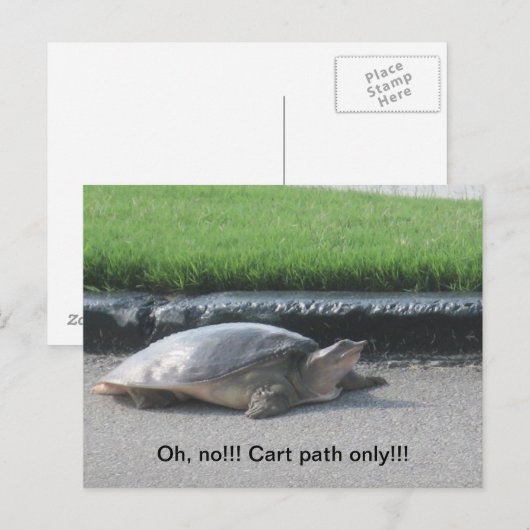 Postkarten für Golfspieler (Vorne/Hinten)